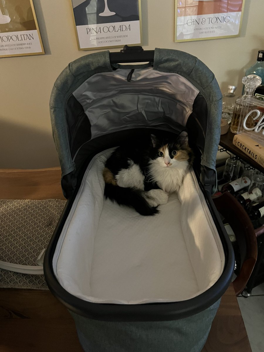 ShotsFired tweet media