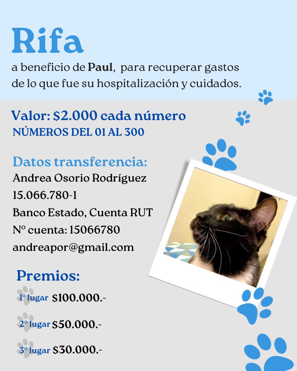 Andreapor16's tweet photo. Hola a todos 🐾 Hace unos días atrás perdimos a nuestro gatito Paul por una pancreatitis fulminante y un tumor en la vejiga, por lo que estamos realizando una rifa para recuperar parte de los gastos de hospitalización. Se agradece su difusión o colaboración 🐾💕🙌🏻 https://t.co/wZwgQWrSfk