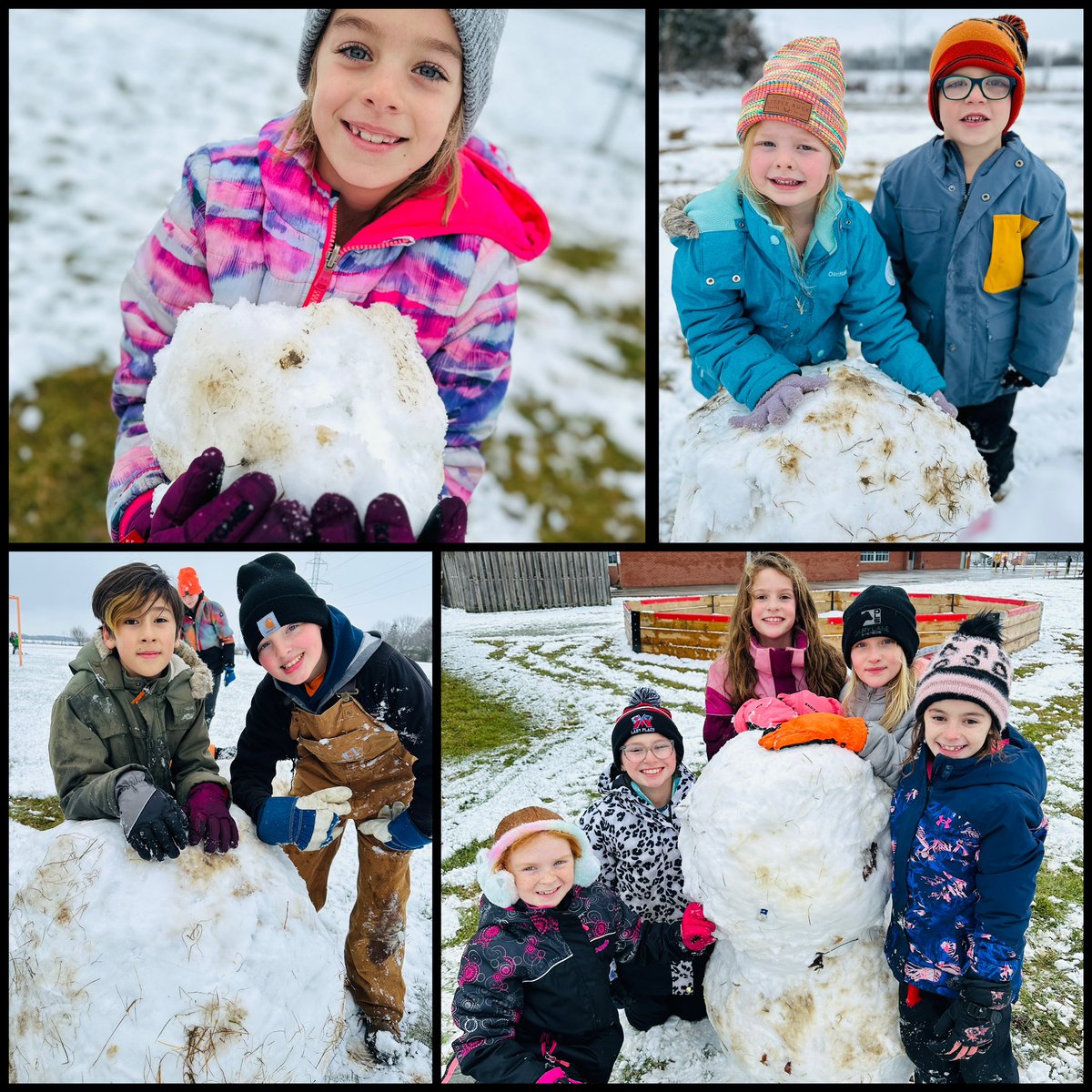 Brigden Public School tweet media