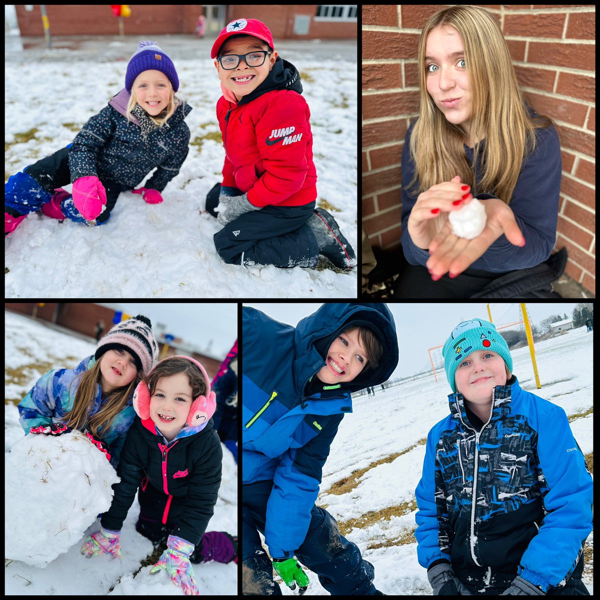 Brigden Public School tweet media