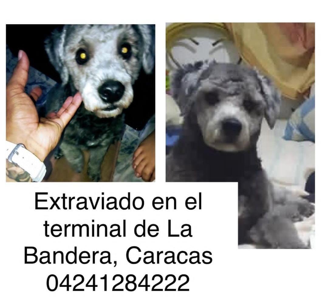 yaracalcagno's tweet image. Se busca