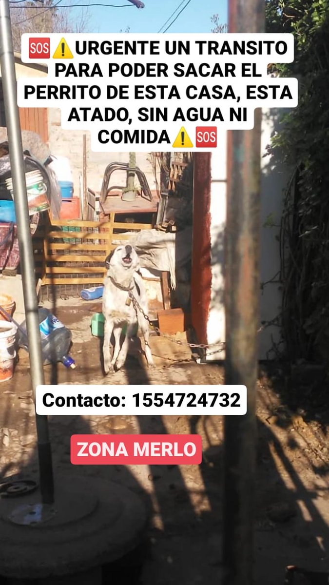 patripeyrou's tweet photo. Urgente https://t.co/kbz7bs55UJ