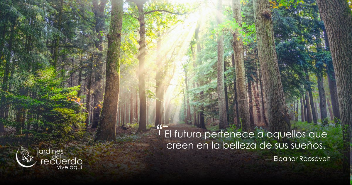 JardinesDelRecuerdo tweet media