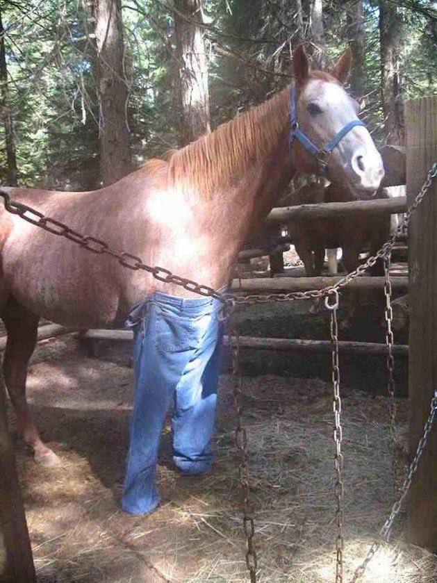 josh wine on a friday night, pair of jeans that fit just right