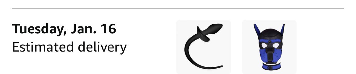 pup_zain tweet media