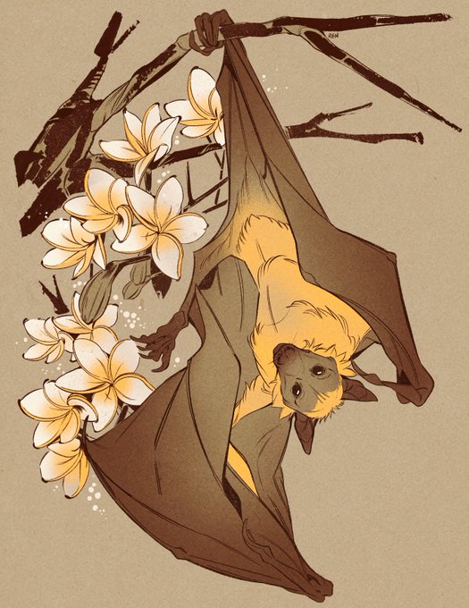 「flower upside-down」 illustration images(Latest)