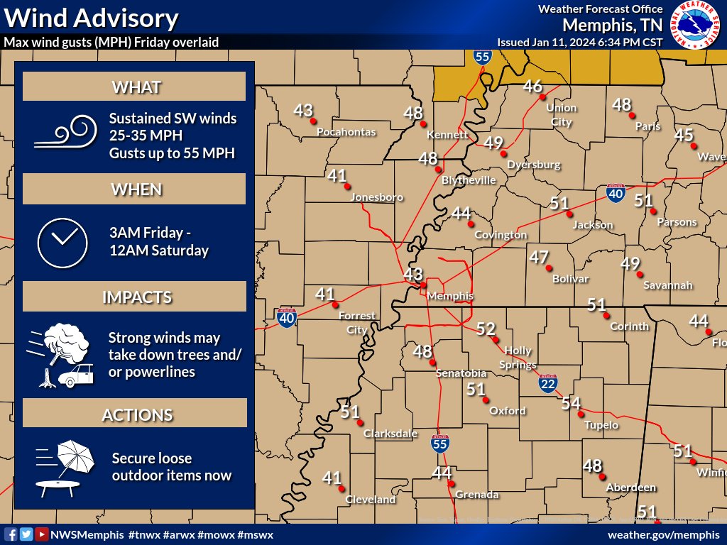 TOMORROW: In addition to the potential severe weather in the morning, non-thunderstorm winds will also be howling from the south/southwest. If there's a strong wind gust after it has rained, it won't take much to take down a tree or powerline. Prepare for power outages. 💨