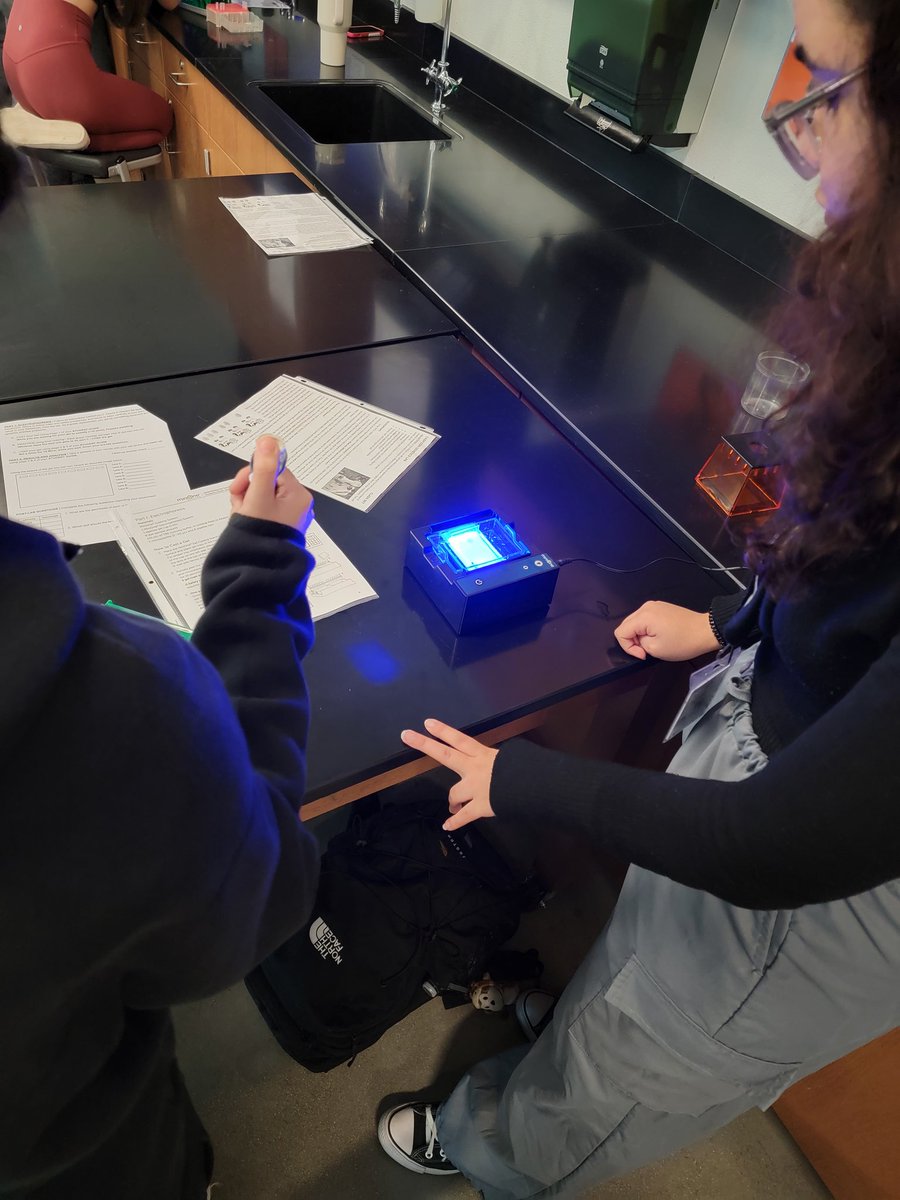 Lucretia Wise (@lwisebio) on Twitter photo Ca$h cow fun yesterday and today in <a href="/TeachMsA/">Amanda Attales</a> Biology classes. Loading & running DNA to see which cows would produce the best cheese (& cheese making babie) for Farmer Joe. Thank you <a href="/MiniOneSystem/">MiniOne® Systems</a> for this awesome lab! <a href="/JhsJags/">JHSJags</a> <a href="/brett_miksch/">Brett Miksch</a> <a href="/LazareScience/">Jennifer Lazare</a> #BIABaby #JagScience Ca$h cow fun yesterday and today in <a href="/TeachMsA/">Amanda Attales</a> Biology classes. Loading & running DNA to see which cows would produce the best cheese (& cheese making babie) for Farmer Joe. Thank you <a href="/MiniOneSystem/">MiniOne® Systems</a> for this awesome lab! <a href="/JhsJags/">JHSJags</a> <a href="/brett_miksch/">Brett Miksch</a> <a href="/LazareScience/">Jennifer Lazare</a> #BIABaby #JagScience