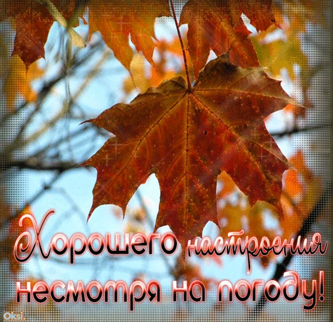 rusevik's tweet photo. Хорошего ноябрьского дня (60 фото) 
https://t.co/0SB5rr49TN https://t.co/IM5us6AO83