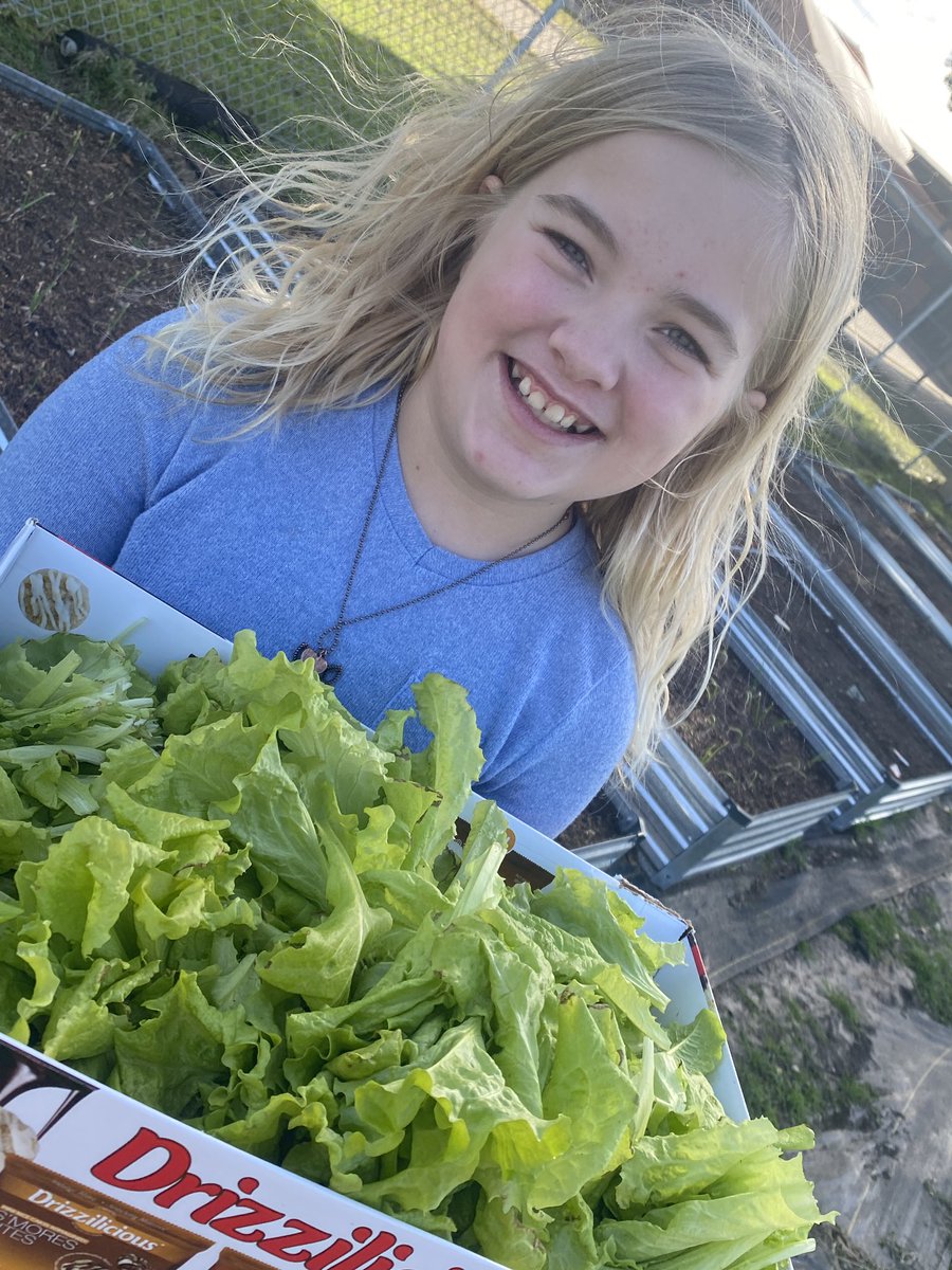 Mary Kroll tweet media