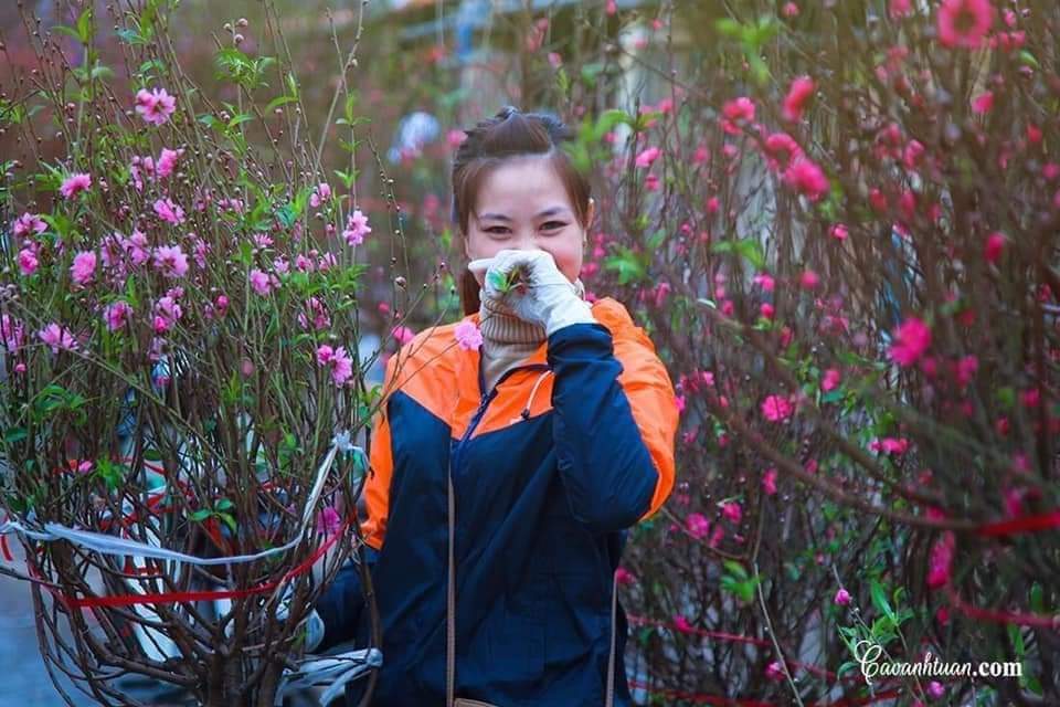 Nonieh1's tweet photo. Chợ Hoa Quảng Bá 🌸🌸🌸
#hoatet #daotet #hoadao #hanoixin #hanoi https://t.co/k4AKpdDF2G