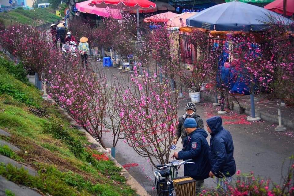 Nonieh1's tweet photo. Chợ Hoa Quảng Bá 🌸🌸🌸
#hoatet #daotet #hoadao #hanoixin #hanoi https://t.co/k4AKpdDF2G