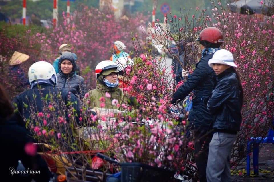 Nonieh1's tweet photo. Chợ Hoa Quảng Bá 🌸🌸🌸
#hoatet #daotet #hoadao #hanoixin #hanoi https://t.co/k4AKpdDF2G