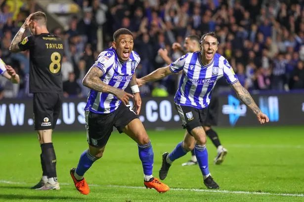 Hong Kong 🇭🇰 Owls🦉 tweet media