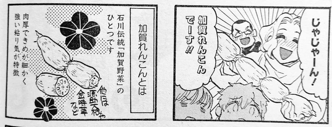 というわけで加賀れんこん回です
ホンマにうまいんですよ加賀れんこん
画像2枚目が蓮蒸しです。もちふわ～ 