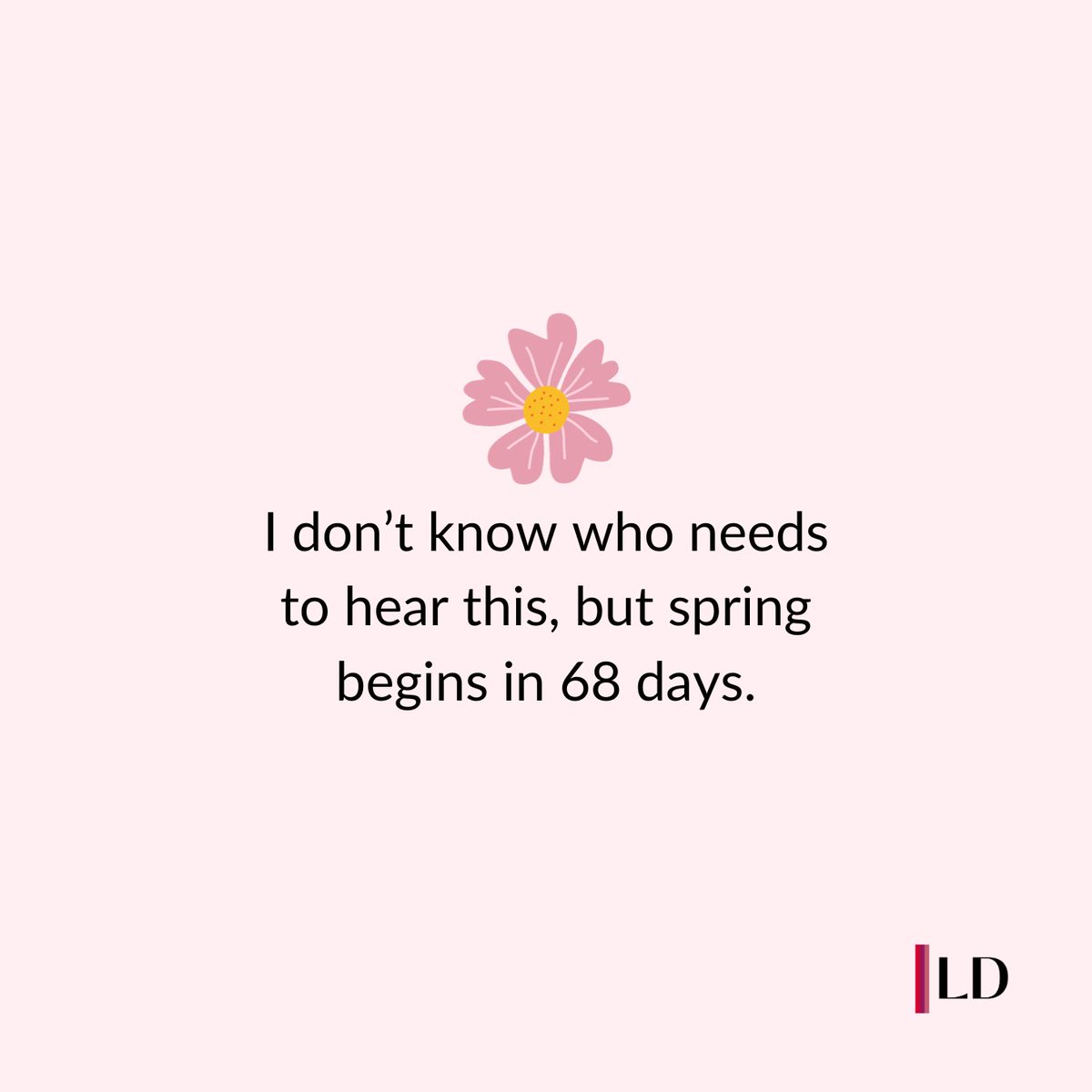 DiemerLisa's tweet photo. Flowers and warmer weather is on the way! 🌷 https://t.co/vwCKC16PUi