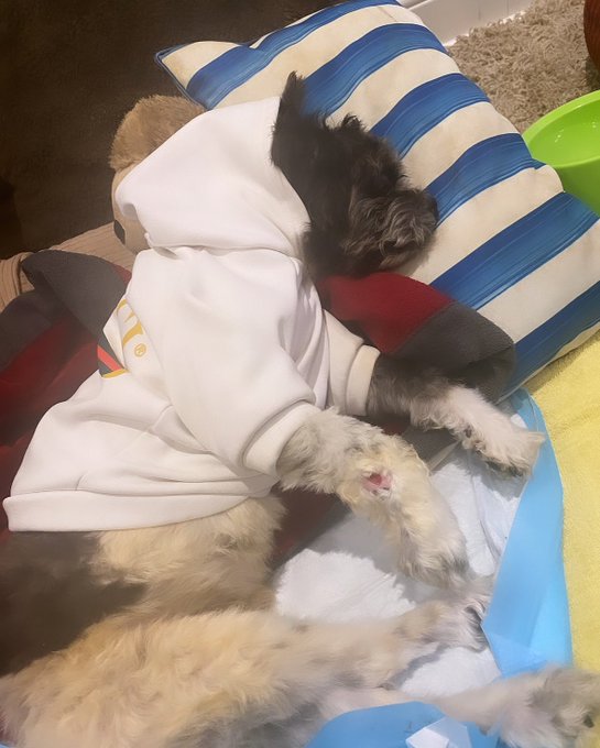 It&rsquo;s been one year since I lost the love of my life .. I will never feel such love &amp; pain in the same<a href="/tag/joinme"class="tags"><span>#joinme</span></a><a href="/tag/specialoffer"class="tags"><span>#specialoffer</span></a><a href="/tag/onlyfansexclusive"class="tags"><span>#onlyfansexclusive</span></a>