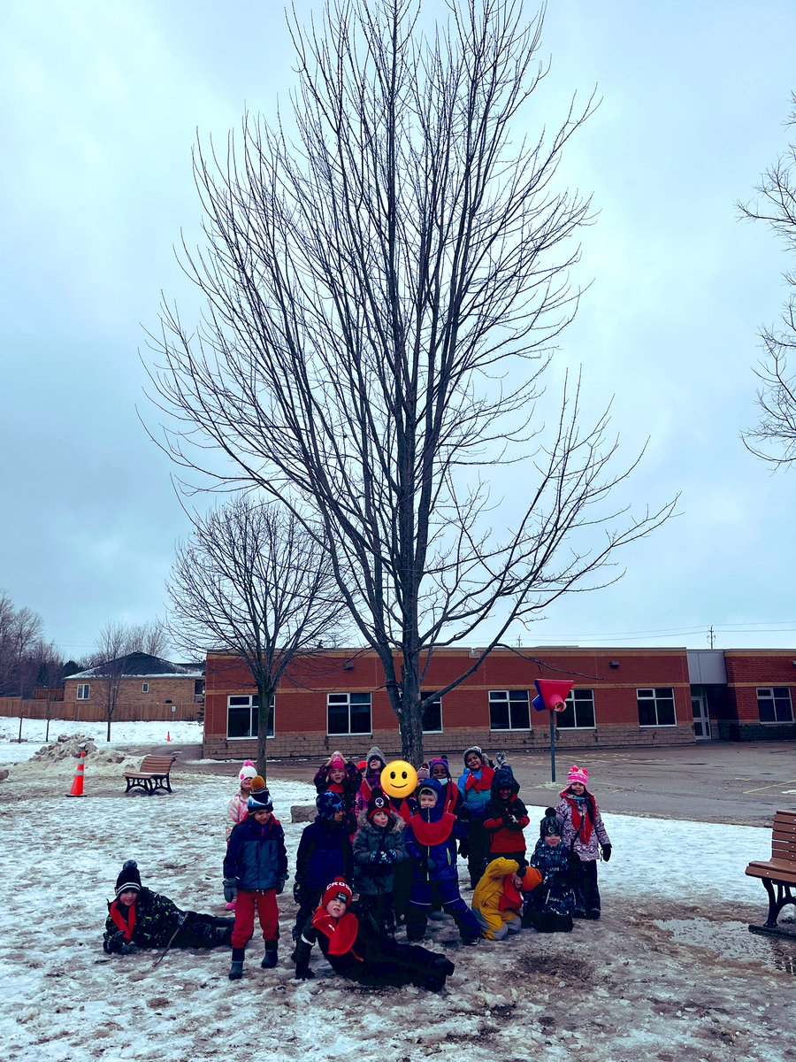 MrsGrossFDK tweet media