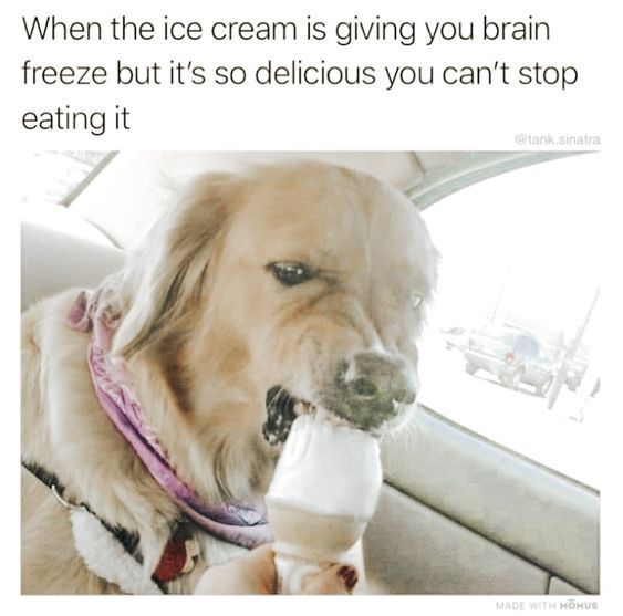 WholesomeMeme's tweet photo. https://t.co/CRDnAInjEo