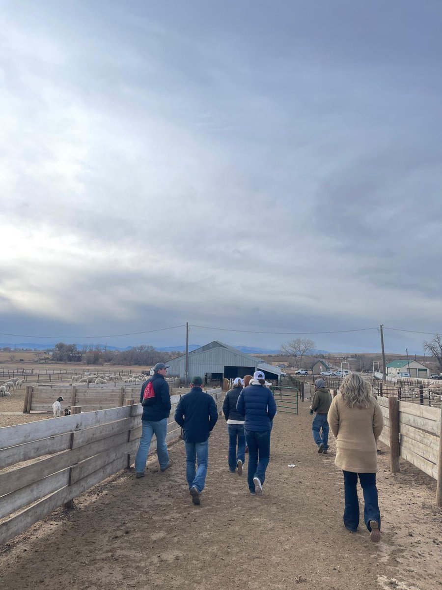 ausmeatjudging's tweet photo. Day 6 & 7 on tour 🇺🇸
JBS beef plant in Greeley Colorado to practice yield and quality grading as we get our eye in for measurements in square inches and an afternoon at Double J lamb feeders where they feed up to 120,000 lambs per year!
#icmj #icmjustour #meat #agriculture https://t.co/cV6CDNhe9w