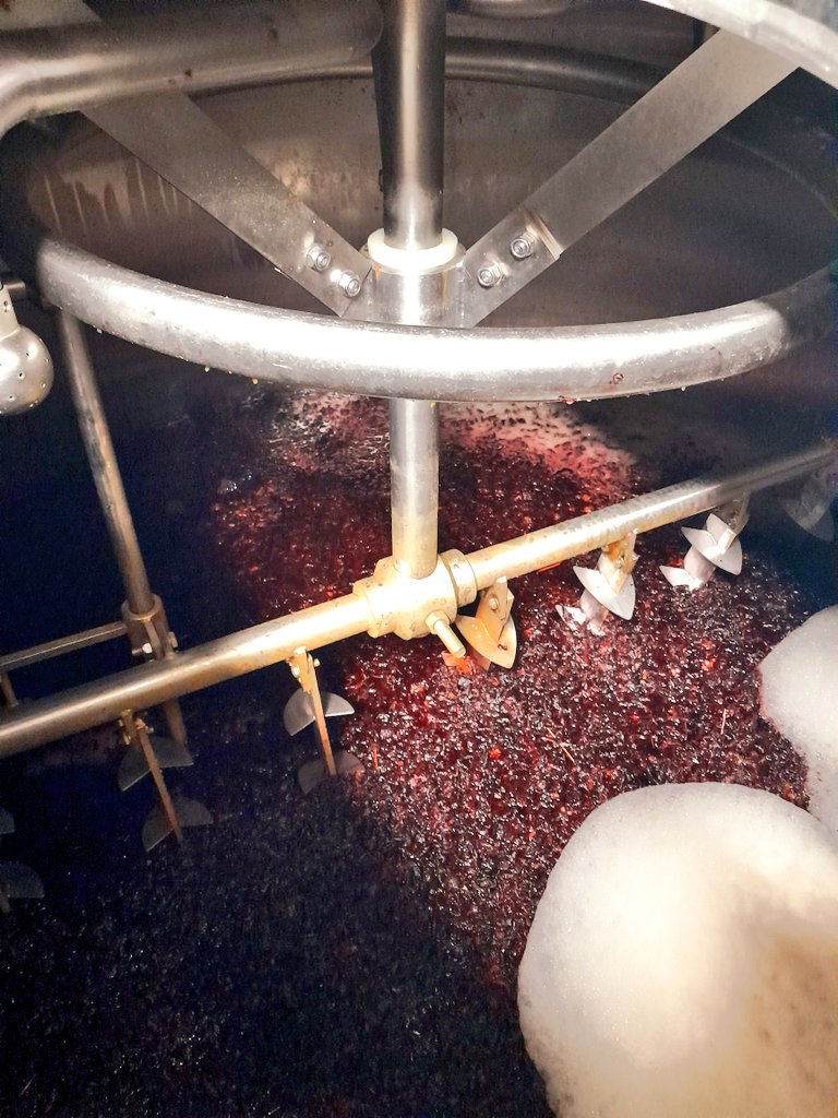 Kieran Haslett-Moore tweet media