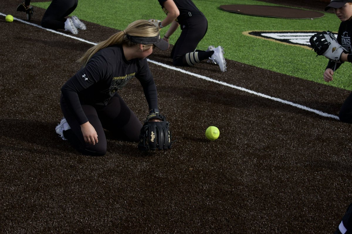 LindenwoodSB's tweet photo. I spy new turf 👀 #InTheArena https://t.co/xcRQpzAVFK