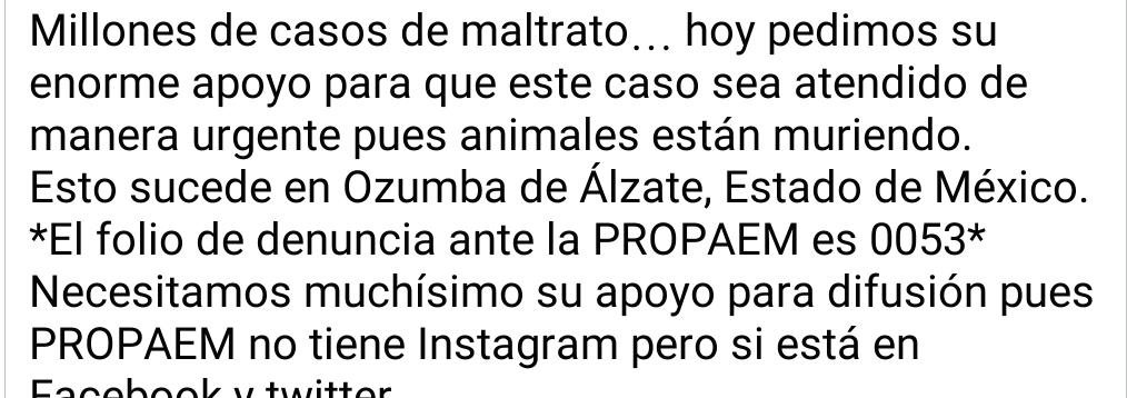 Abogado Animalista tweet media