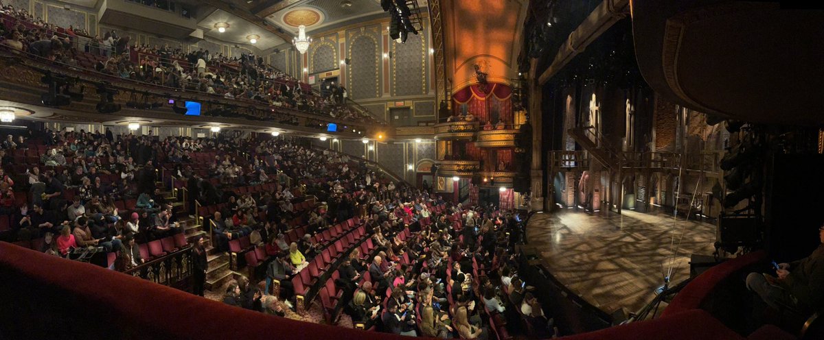 Vanessa Carroll tweet media