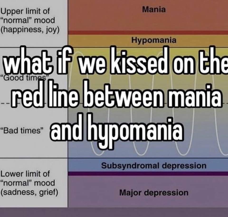Bipolar Memes tweet media