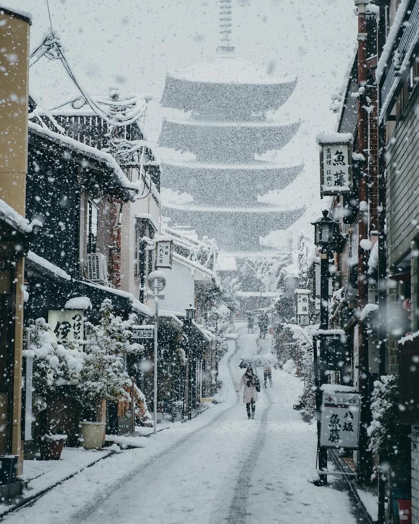 archi_tradition's tweet photo. Kyoto, Japan 🇯🇵
📸:@riki_s7_ https://t.co/VCgWUjQIMb