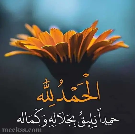 wise_man10120's tweet photo. @omkhaled11221 يسعد صباحك 🖐 https://t.co/fzCTSICrJk