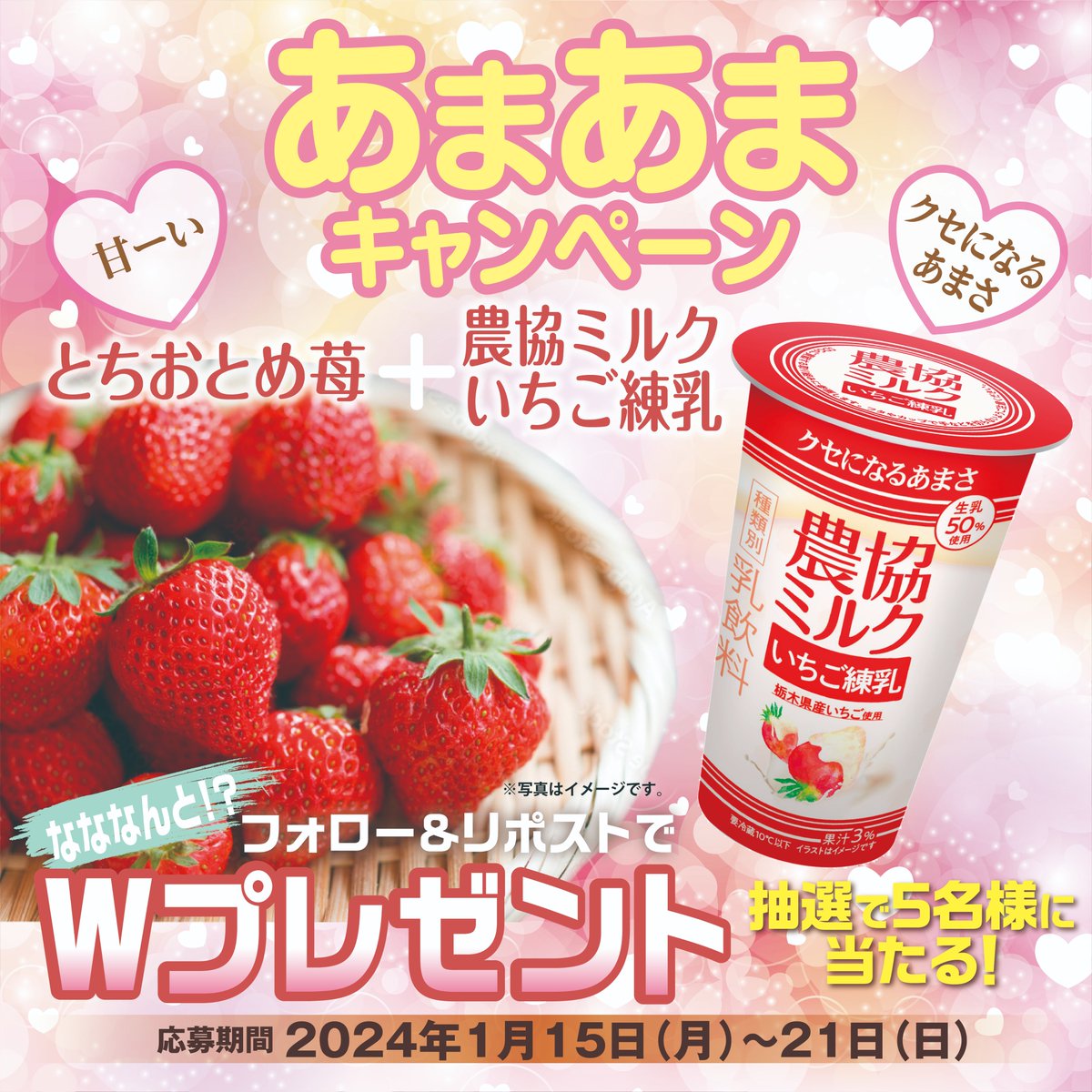 meito_kyodomilk's tweet photo. 🍓#あまあまキャンペーン🍓

農協ミルクいちご練乳に使用されている『とちおとめ苺』と『農協ミルクいちご練乳』を抽選で５名様にプレゼント！今が旬のおいしいとちおとめをぜひ味わってみてください💓

📍応募方法
①@meito_kyodomilkをフォロー
②1/21迄にリポスト

ご応募お待ちしております！ https://t.co/Y7DUIcMg4k