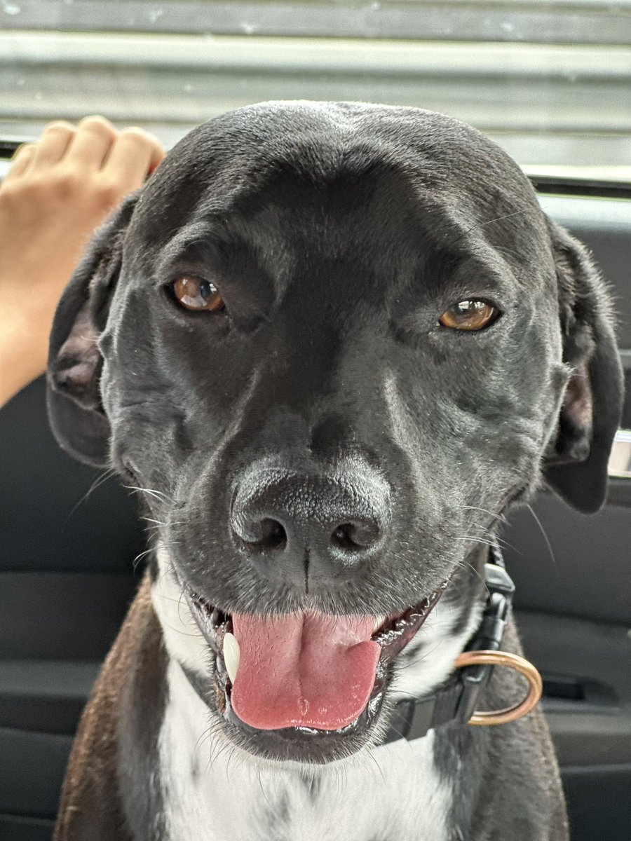 Hola soy un amigo, nunca podré hacerte daño.

RESPETA !!! 

Nunca entenderé conductas  de maltrato.

Draco es mi coleguita