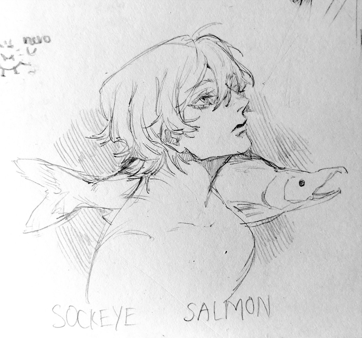Random sketch 