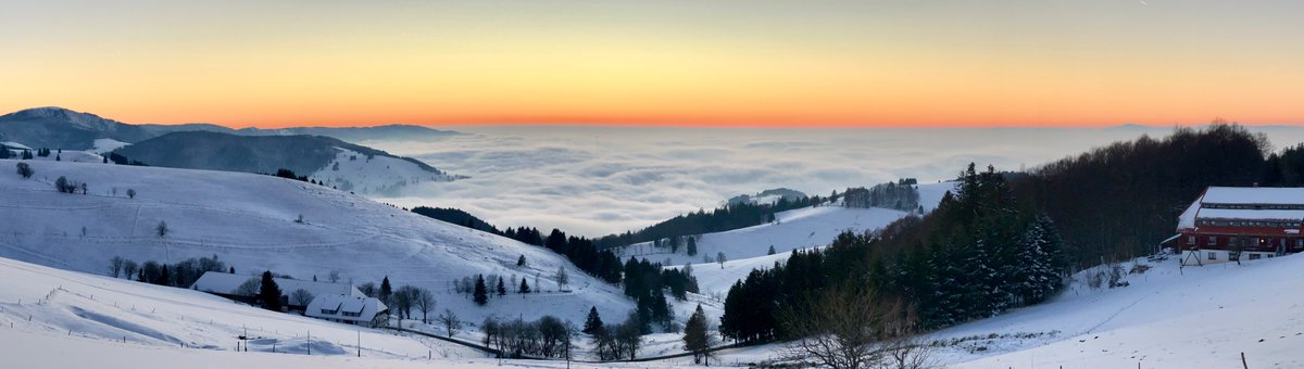 When your way to/from work can involve this view you have a terrific job at @UHZ_UNIFreiburg at @Uniklinik_Fr, where the team is performing CV medicine at its best. @cgratzke @Kardiophil @DGK_org @YoungDgk @BenediktSchrage @thiele_holger @dzhk_germany