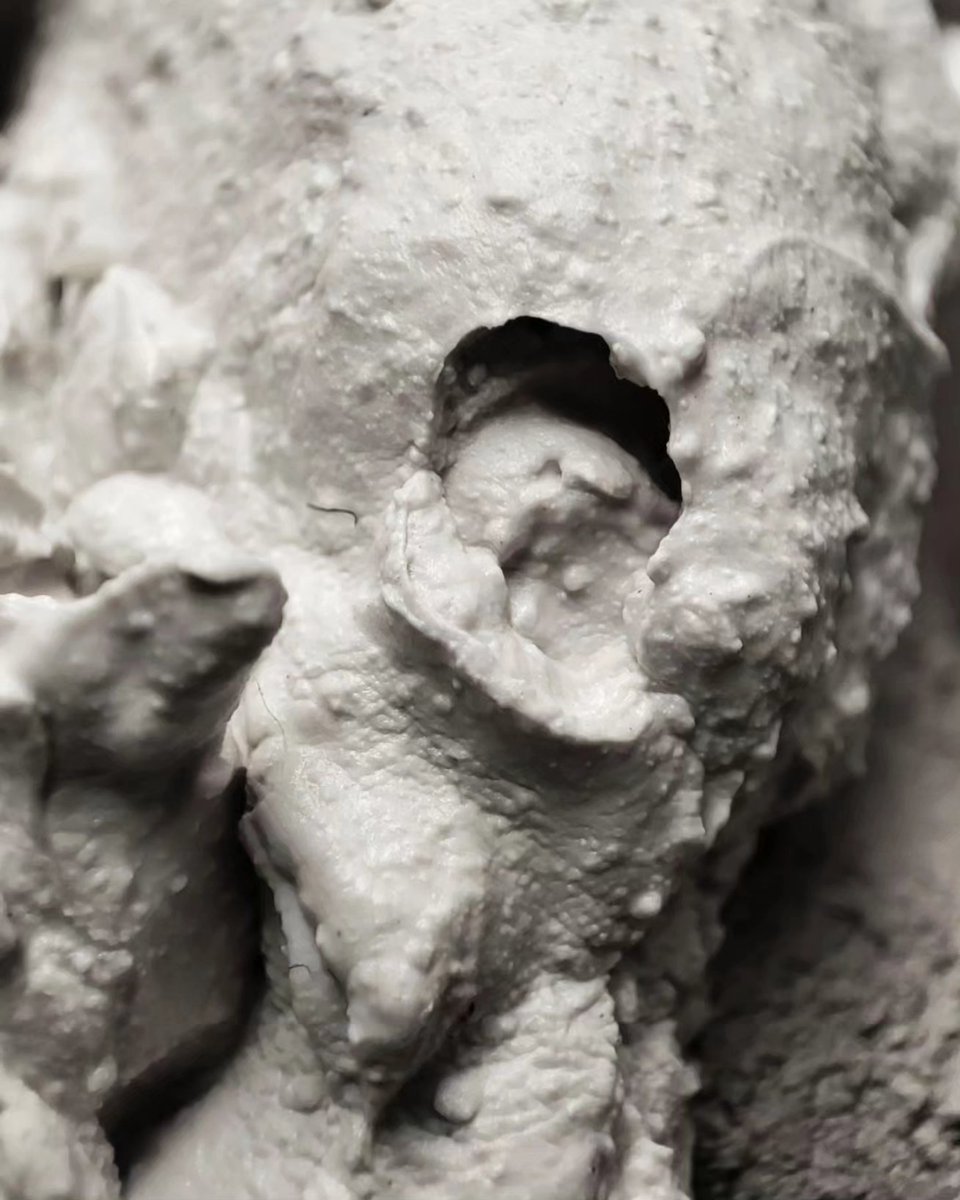 _patricia_vm_'s tweet image. Porcelain and stoneware
🩶🤍
#ceramicprocess #ceramicstudio #highfireceramics 
.
#ceramic