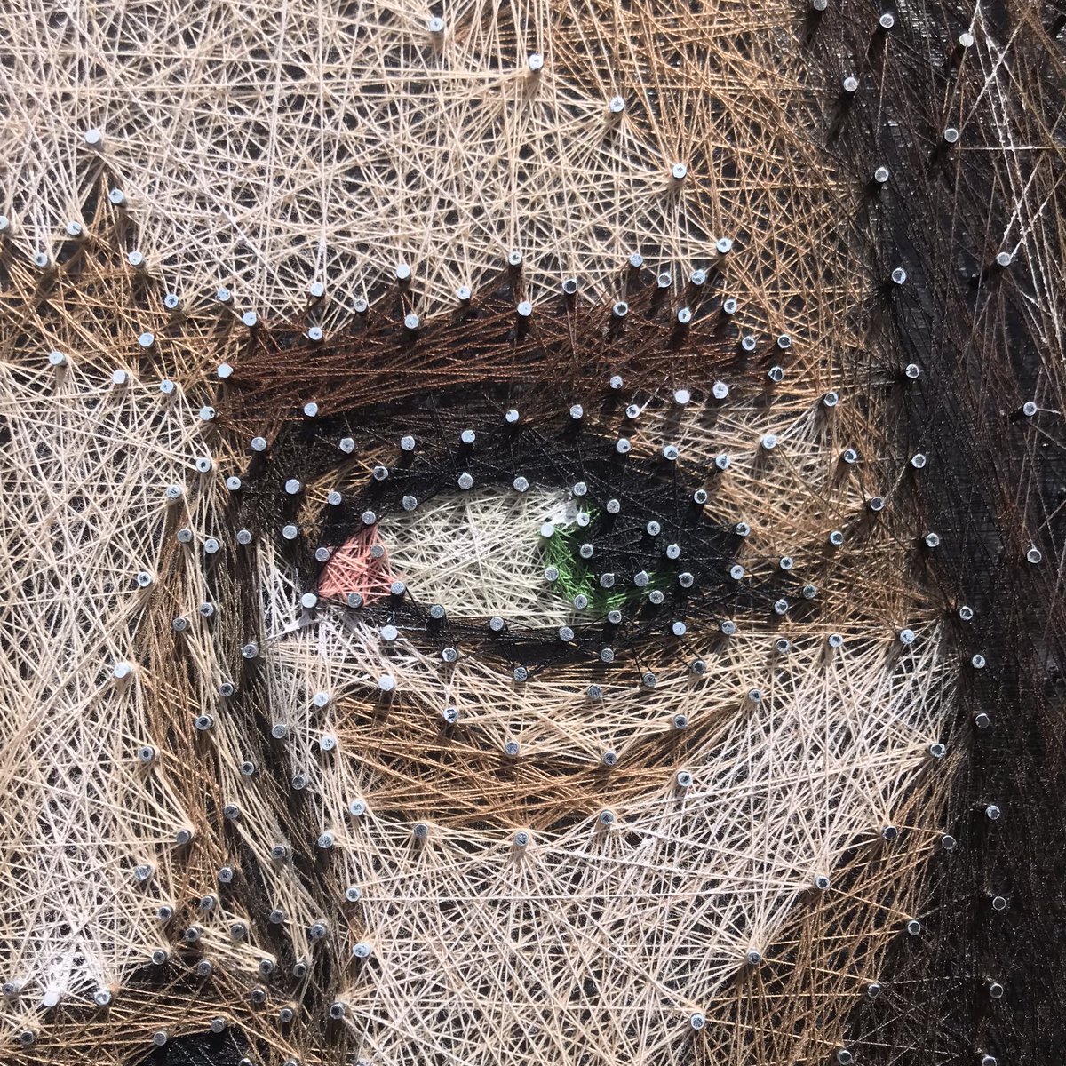 OrenjiThreads's tweet photo. The brilliant @timminchin, finished last year in October. 
Cotton thread, 60x60cm
#art #portrait https://t.co/kzWzdyQAqP