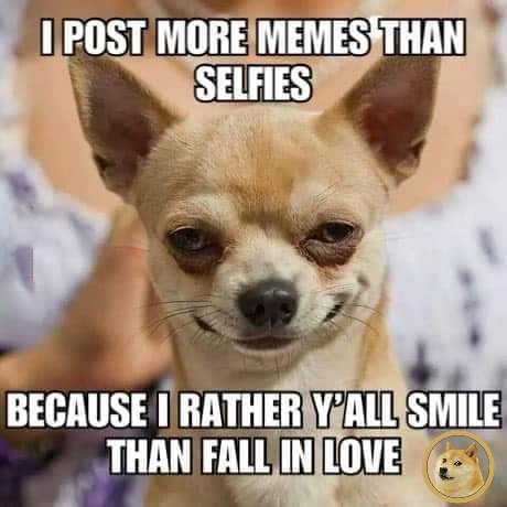 Greatape42069E's tweet photo. #ĐogeFam
#SmileForMe 
#ItsContagious
#ĐoOnlyGoodEveryday https://t.co/LbIBMouJkU