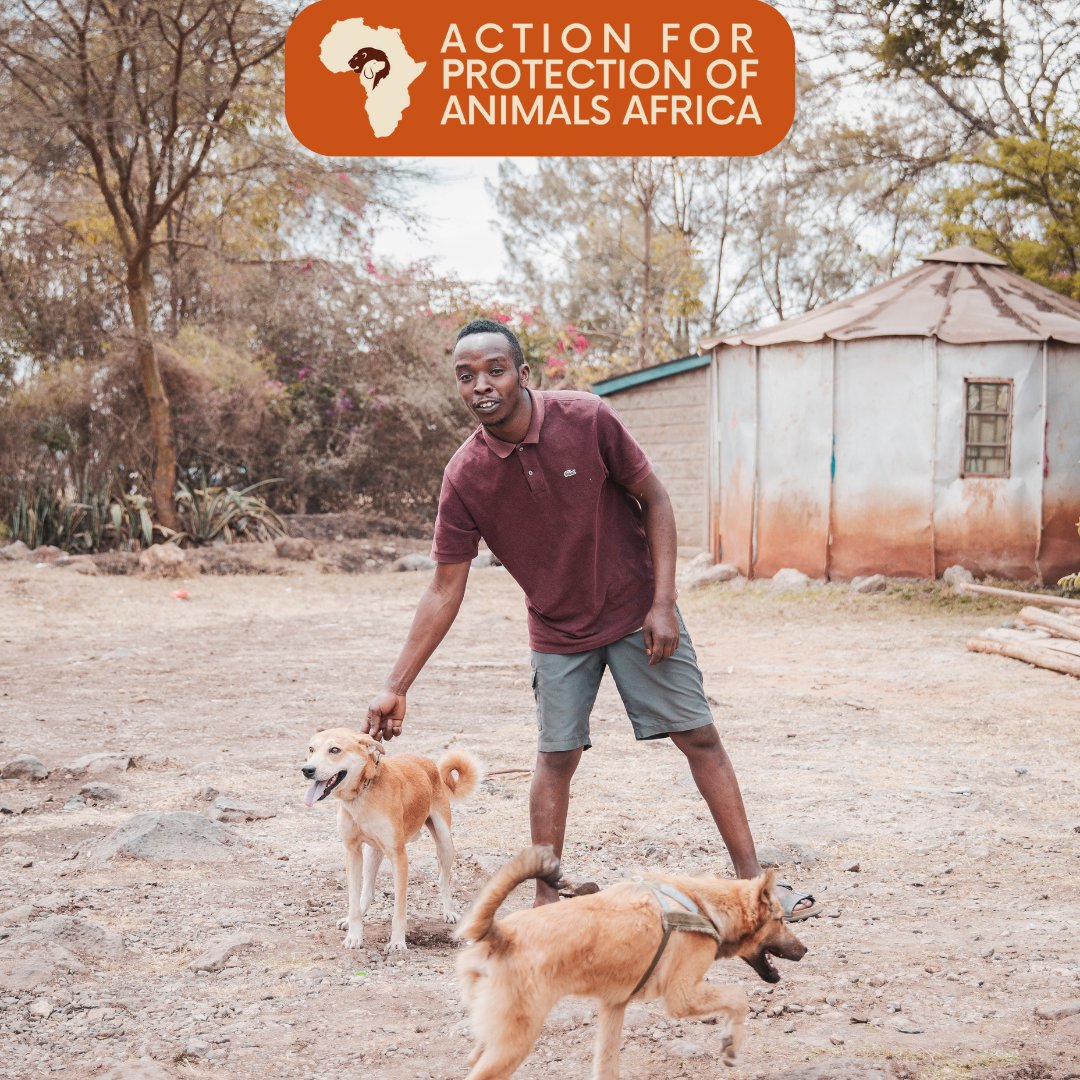 Let's start the weekend with a dose of delight! 

Share pics of your pets' 🦮 playful adventures, and let's appreciate the unique bond between you and your pets.

#FunFriday #TGIF