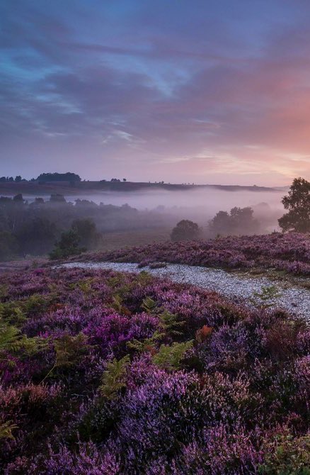 Matt_Pinner's tweet image. What’s the first word that comes to mind when you see this photo ?