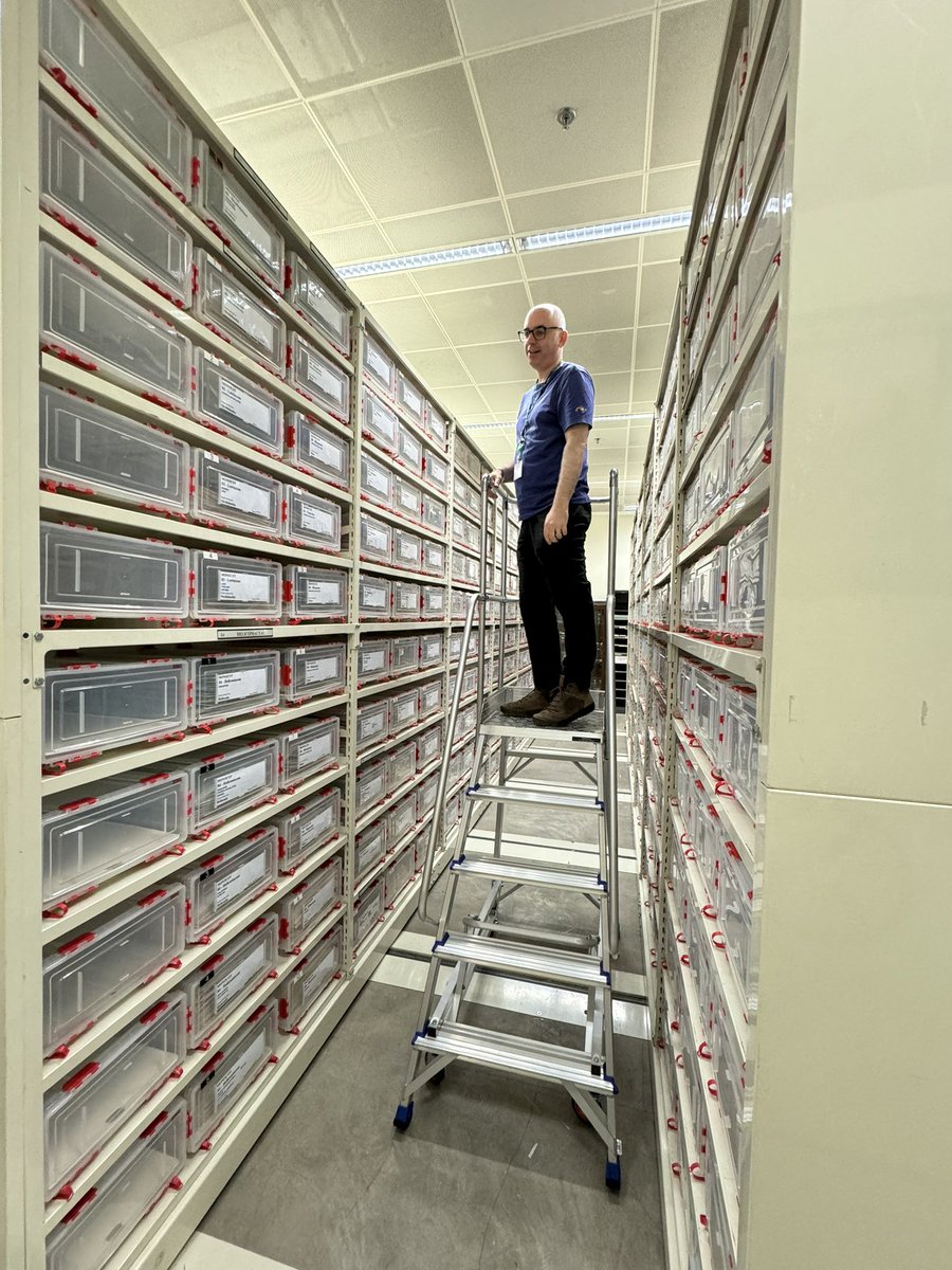 YeeWen Low (刘 逸 汶) tweet media