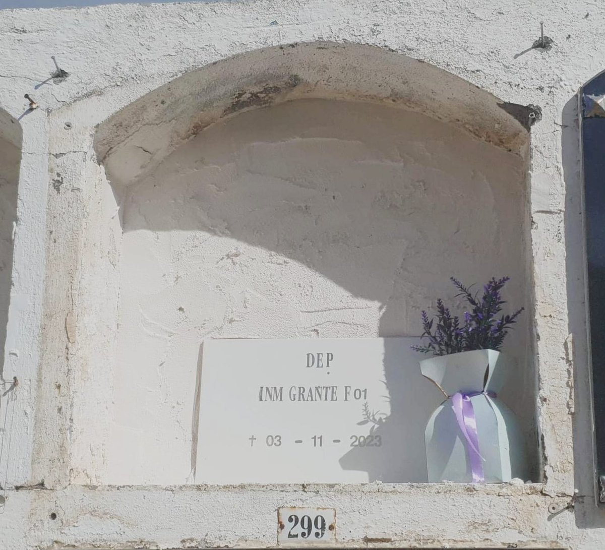 Anoche llegó un cayuco a Tenerife, a Playa de San Juan. Y de madrugada llegó otro. 

Hace unos días, a Tenerife también, llegó uno con 191 personas ¿de dónde? Salió desde Mauritania con personas de: Burkina Faso (ojo), Mali, Conakry, Senegal y Mauritania.

¿Y estas flores?