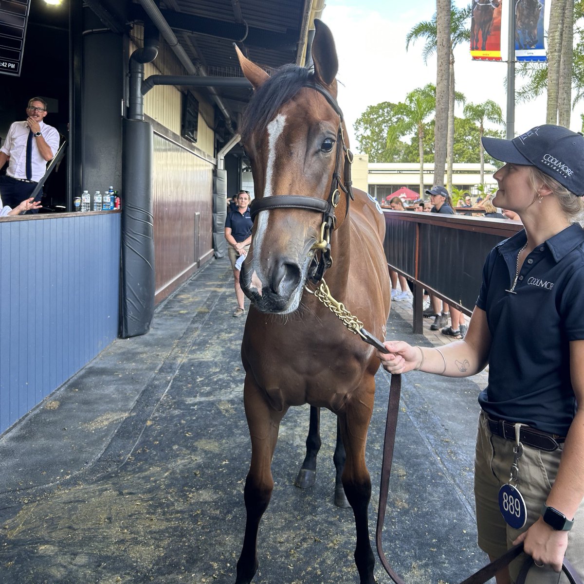 Racing.com tweet media