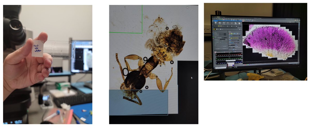 Graham Wright tweet media