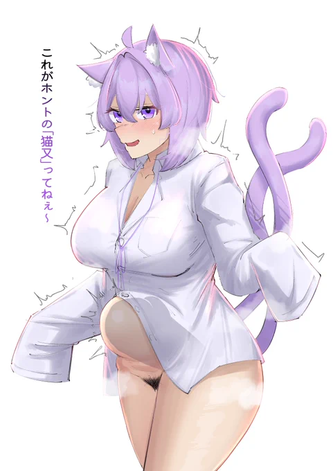 猫又 