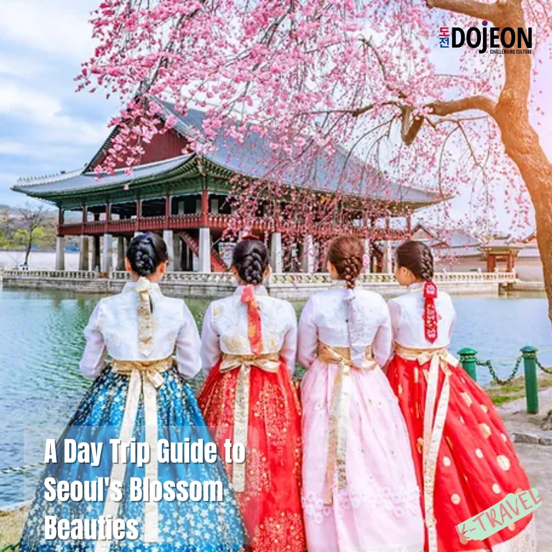 A Day Trip Guide to Seoul's Blossom Beauties

dojeonmedia.com/post/a-day-tri…

#dojeonmedia #seoul #southkorea #seoultravelguide #guidetosouthkorea #bestcafesinseoul #cherryblossom #funthingstodo #seoulguide #southkoreatravel #seoullife #visitseoul #visitsouthkorea #daytrip #traveltips