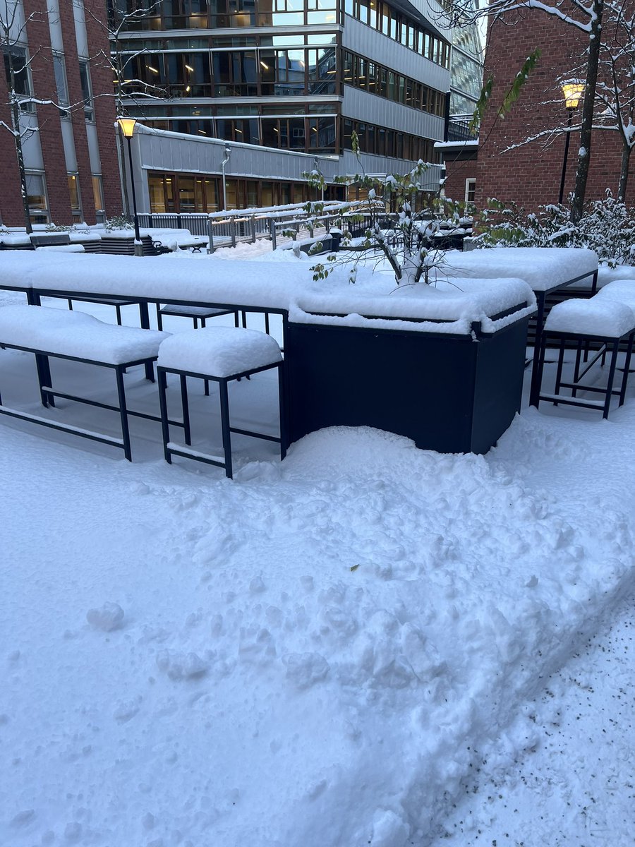 EriFransson's tweet photo. A little snow❄️🤦🏼‍♀️ https://t.co/Y2iF9B40AG