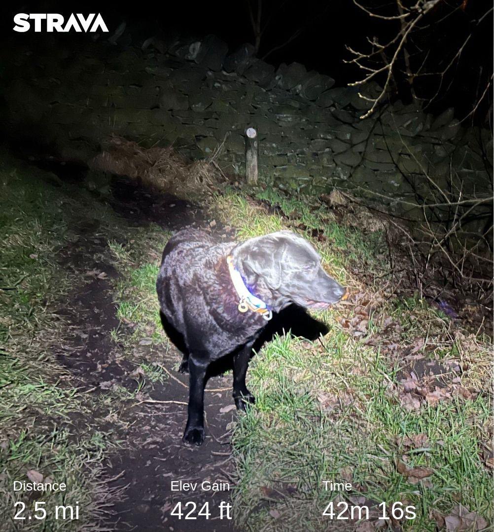 andyb066's tweet photo. Another couple of miles walking the beastie boy this morning for @BipolarUK #poletopolechallenge #muddymilesformegs #rebelsrelay @runningpunks #walkingpunks #runningpunks #brokenpunks https://t.co/xGBM2KrSyB