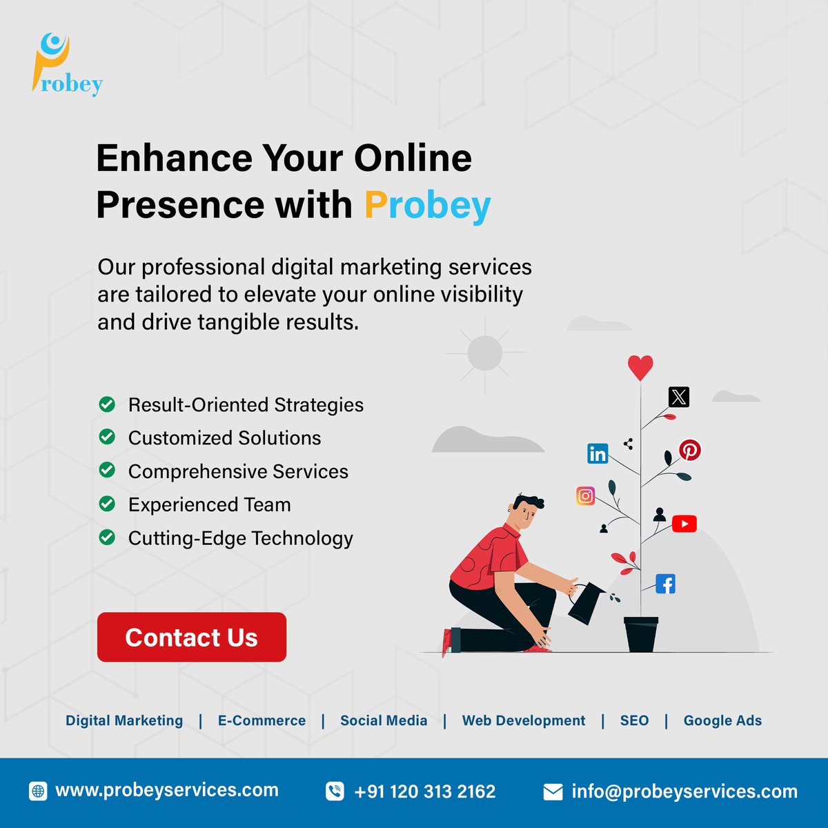 Probey Services Private Limited tweet media