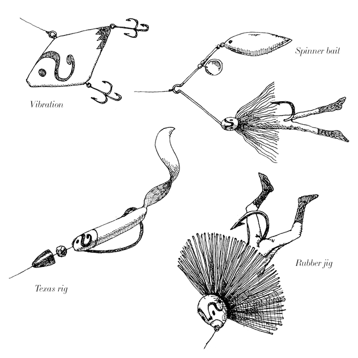 #lure #vibration #texasrig #rubberjig #spinnerbait #illustration #maskman